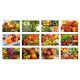 Calendario 2024 Frutta e verdura