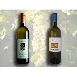 Vermentino - Confezione 2 Bottiglie